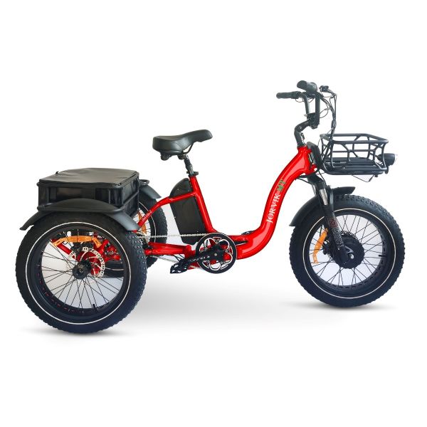 Electric Tricycle
